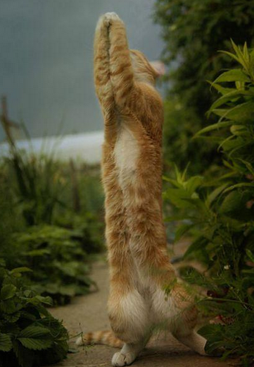 上帝啊请赐给我一女友吧，我不想再过漂泊的单身生活了