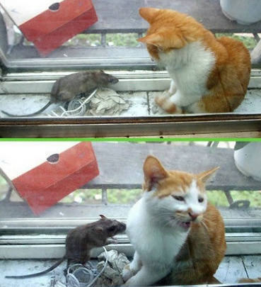 从敌人到情人是需要多么大的勇气……