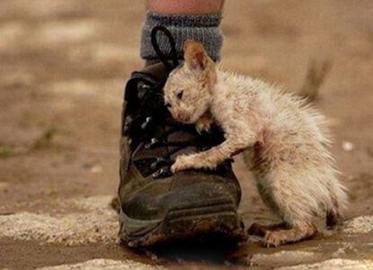 带我走吧，我想有个家，一个不需要太大的地方