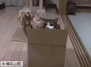 怎样，你有什么不满