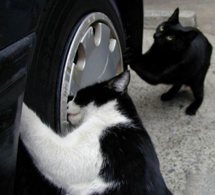 修理店派来了新伙计