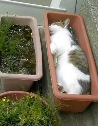 你还真会选地方