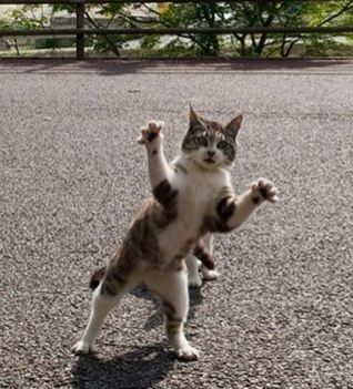 来吧，我准备好了