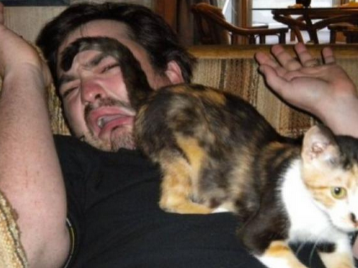 这垃圾猫咪的菊花真臭