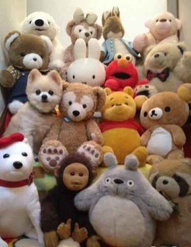 原来你在这里，一眼看去还真没发现