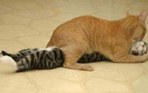 这可别被人撞见了啊