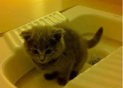 会自己上厕所的小乖乖