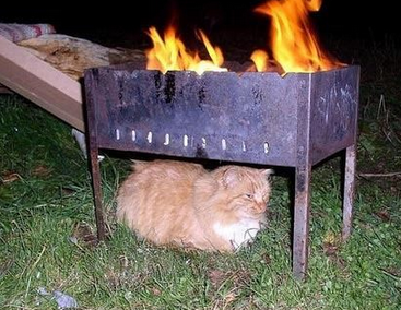 还是这里比较暖和