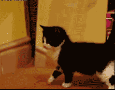 麻麻，那里有个奇怪的东东打我