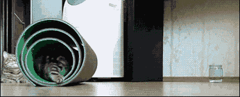 还敢躲，给老娘出来