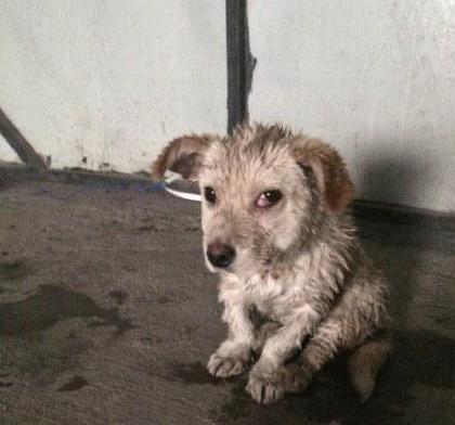 undefined{{pos:,w:,h:}}