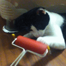 每天下班回家看到你就很开心