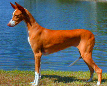 undefined{{pos:,w:,h:}}