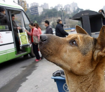 undefined{{pos:,w:,h:}}