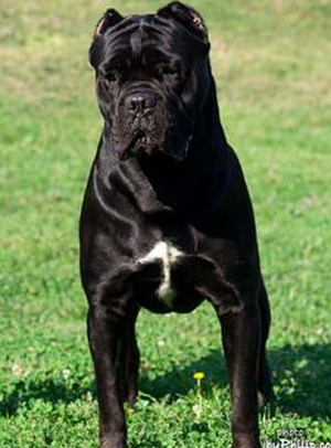 undefined{{pos:,w:,h:}}