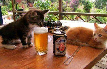 啤酒什么的最好喝了！