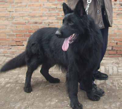 undefined{{pos:,w:,h:}}