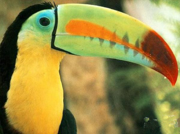 undefined{{pos:,w:,h:}}