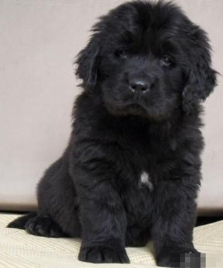 undefined{{pos:,w:,h:}}