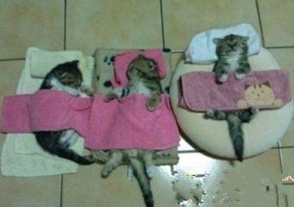 麻麻说， 吹空调睡觉要记得盖被被，不然小肚肚会着凉