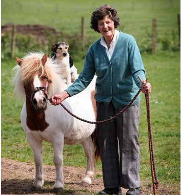 狗狗酷爱骑马 吸引大批群众特地前往其家来观看