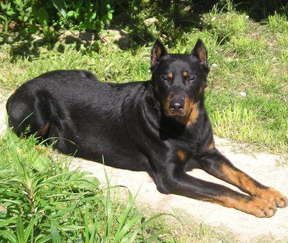 undefined{{pos:,w:,h:}}