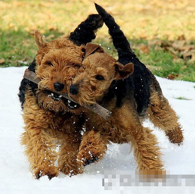 undefined{{pos:,w:,h:}}