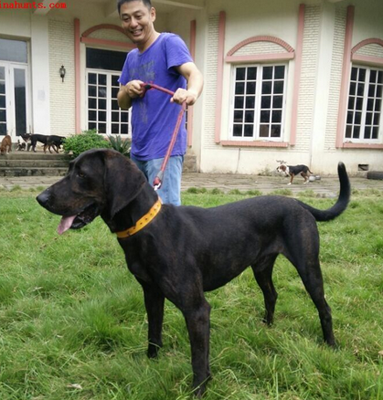 undefined{{pos:,w:,h:}}