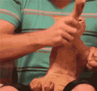 遇到这样的主银 喵星人也是醉了