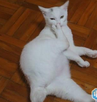 看什么看，没见过用脚趾抠鼻子的吗？