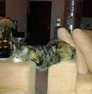  睡货是这样炼成的 