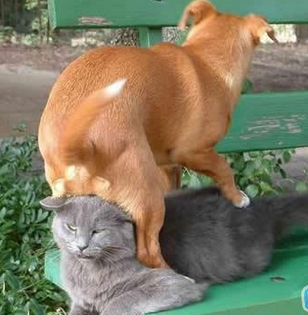 我查三个数，马上给我下去