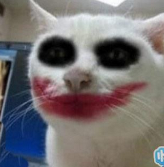 这货照镜子能不能挠死我