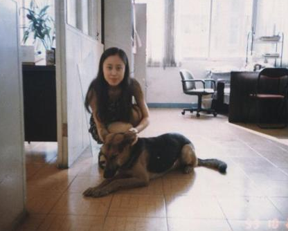 狗狗闯红灯被撞 所幸只是轻伤赔千元