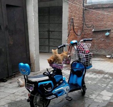 呼朋引伴，逛街走起