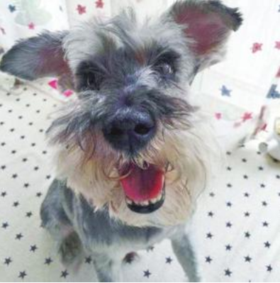 undefined{{pos:,w:,h:}}