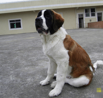 undefined{{pos:,w:,h:}}