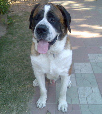 undefined{{pos:,w:,h:}}