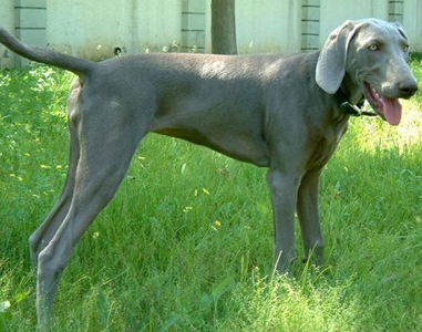 undefined{{pos:,w:,h:}}