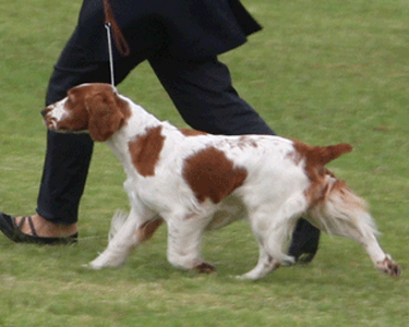 undefined{{pos:,w:,h:}}