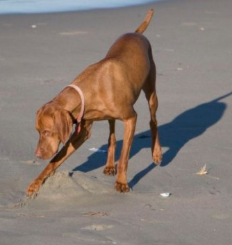 undefined{{pos:,w:,h:}}