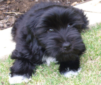 undefined{{pos:,w:,h:}}