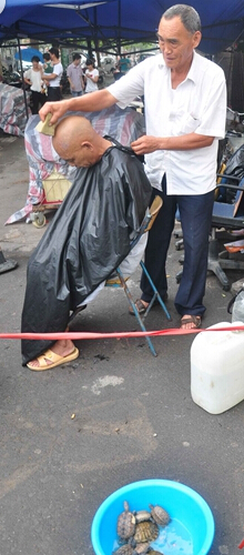 理发老人卖巴西龟“变”野生 称煮一锅汤大补