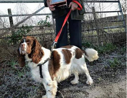 undefined{{pos:,w:,h:}}