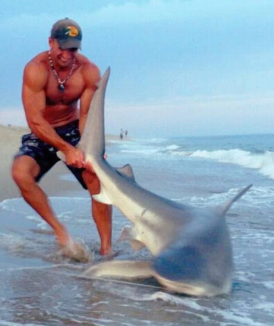 男子徒手抓鲨鱼后放生 呼吁人们保护鲨