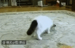 我真的木有化妆