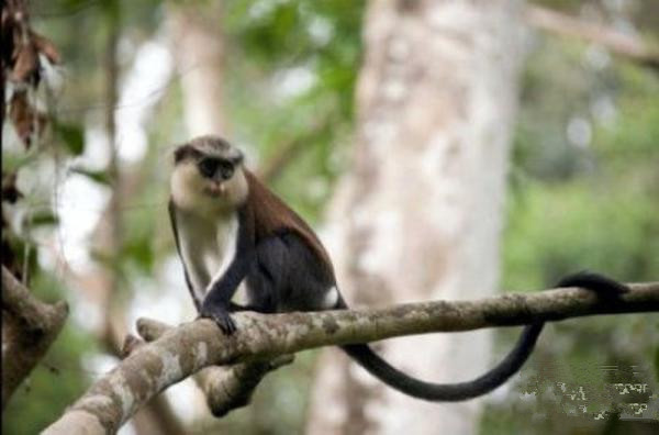 undefined{{pos:,w:,h:}}