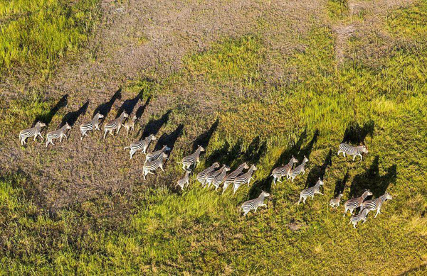 undefined{{pos:,w:,h:}}