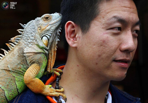 undefined{{pos:,w:,h:}}