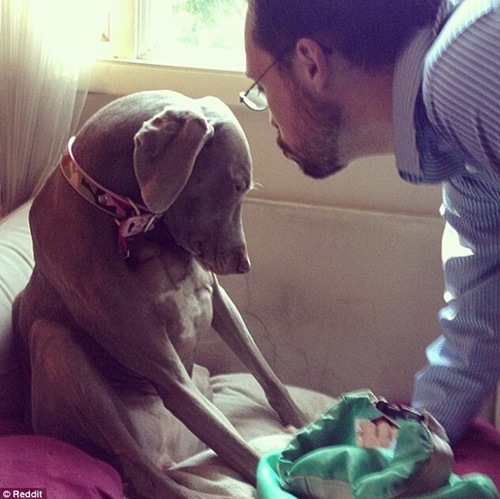 undefined{{pos:,w:,h:}}